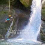 Andorinhas…