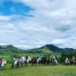 Passeio a Cavalo – No alto de uma montanha  de cima de um cavalo o seus problemas ficam tão pequeno…